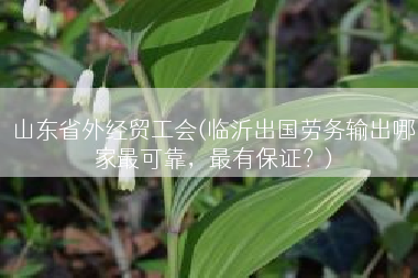山东省外经贸工会(临沂出国劳务输出哪家最可靠，最有保证？)