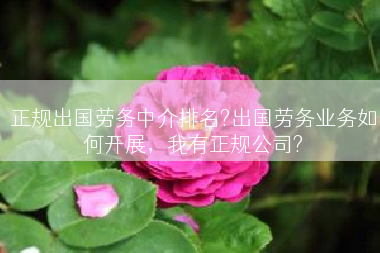 正规出国劳务中介排名?出国劳务业务如何开展，我有正规公司?