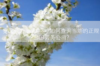 安庆劳务派遣中心?如何查询当地的正规出国劳务公司?