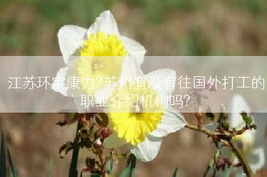 江苏环宇康力?苏州有没有往国外打工的职业介绍机构吗?