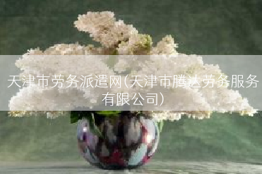 天津市劳务派遣网(天津市腾达劳务服务有限公司)
