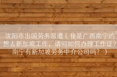 沈阳市出国劳务派遣（我是广西南宁的想去新加坡工作，请问如何办理工作证？南宁有新加坡劳务中介公司吗？）
