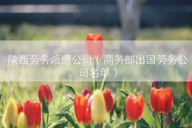 陕西劳务派遣公司（商务部出国劳务公司名单）