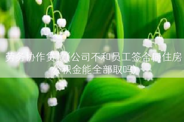 劳务协作贷款(公司不和员工签合同住房公积金能全部取吗)