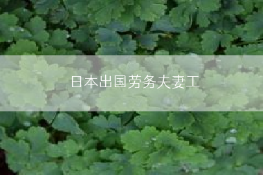 日本出国劳务夫妻工