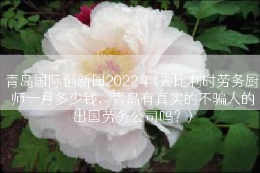青岛国际创新园2022年(去比利时劳务厨师一月多少钱，青岛有真实的不骗人的出国劳务公司吗？)