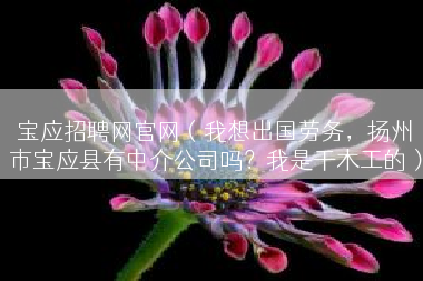 宝应招聘网官网（我想出国劳务，扬州市宝应县有中介公司吗？我是干木工的）