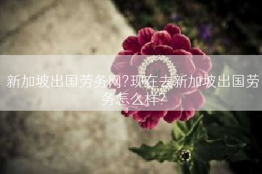 新加坡出国劳务网?现在去新加坡出国劳务怎么样?