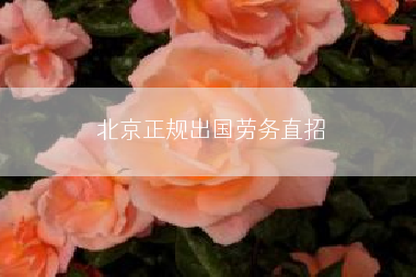 北京正规出国劳务直招