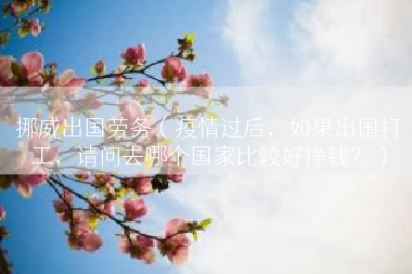 挪威出国劳务（疫情过后，如果出国打工，请问去哪个国家比较好挣钱？）