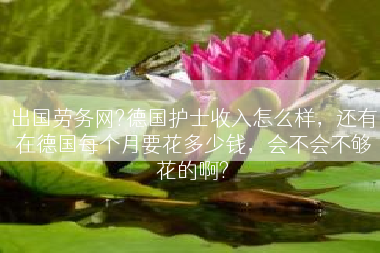 出国劳务网?德国护士收入怎么样，还有在德国每个月要花多少钱，会不会不够花的啊?