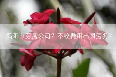 揭阳市劳务公司？不收费用出国劳务？