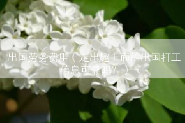 出国劳务费用（走出趣上面的出国打工信息可靠吗？）