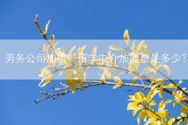 劳务公司加盟？留学中介加盟费是多少？