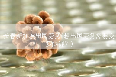 长春新加坡出国劳务(想出国劳务需要交多少钱？)