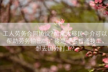 工人劳务合同协议?加拿大移民中介可以帮助劳务输出吗，我是一名普通技工，想去国外打工?