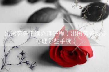 出国劳务手续办理流程（出国劳务需要办理哪些手续）