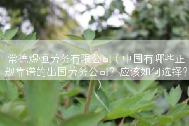 常德煜恒劳务有限公司（中国有哪些正规靠谱的出国劳务公司？应该如何选择？）