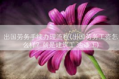 出国劳务手续办理流程(出国劳务工资怎么样？就是建筑工 油漆工)