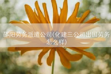 邵阳劳务派遣公司(化建三公司出国劳务怎么样)