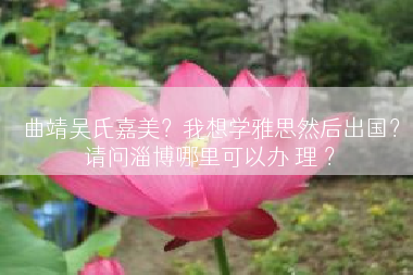 曲靖吴氏嘉美？我想学雅思然后出国？请问淄博哪里可以办 理 ？
