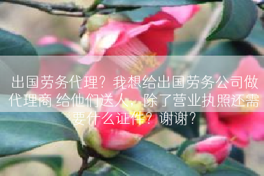 出国劳务代理？我想给出国劳务公司做代理商 给他们送人，除了营业执照还需要什么证件？谢谢？