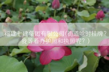 福建七建集团有限公司(街道啥时挂牌？我等着办护照和执照呢？)