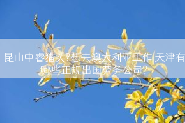 昆山中睿猎头?想去澳大利亚工作 天津有哪些正规出国劳务公司?