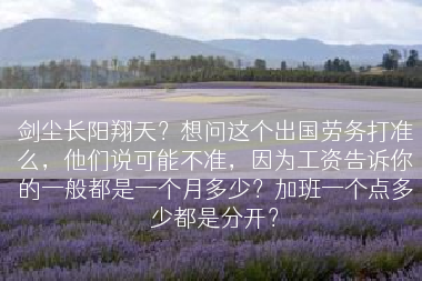 剑尘长阳翔天？想问这个出国劳务打准么，他们说可能不准，因为工资告诉你的一般都是一个月多少？加班一个点多少都是分开？
