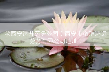 陕西安达升劳务公司（西安市敬瑁鸿运劳务有限公司地址）