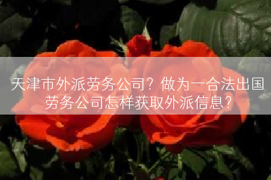 天津市外派劳务公司？做为一合法出国劳务公司怎样获取外派信息？