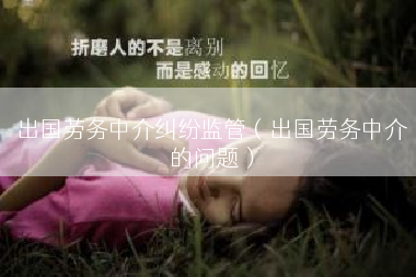 出国劳务中介纠纷监管（出国劳务中介的问题）