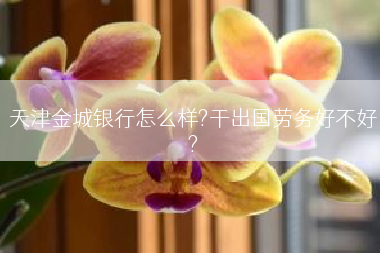 天津金城银行怎么样?干出国劳务好不好?