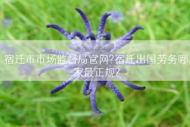 宿迁市市场监督局官网?宿迁出国劳务哪家最正规?