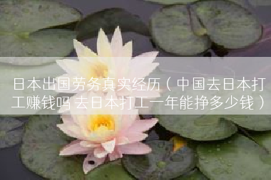 日本出国劳务真实经历（中国去日本打工赚钱吗 去日本打工一年能挣多少钱）