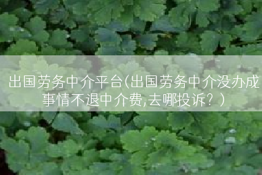 出国劳务中介平台(出国劳务中介没办成事情不退中介费,去哪投诉？)