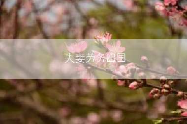 夫妻劳务出国
