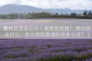 攀枝花劳务公司（家里急用钱？ 想出国去打工，怎么找到靠谱的劳务公司？）