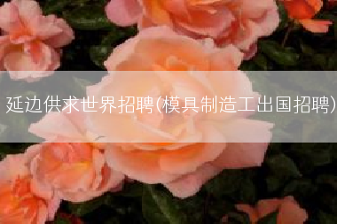 延边供求世界招聘(模具制造工出国招聘)