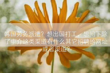 韩国劳务派遣？想出国打工，想问下除了中介这类渠道有什么其它招聘的网址或者渠道？