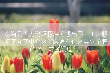 东海县人力资源招聘（想出国打工，想问下除了中介这类渠道有什么其它招聘的网址或者渠道？）