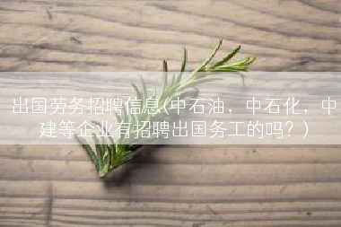 出国劳务招聘信息(中石油，中石化，中建等企业有招聘出国务工的吗？)