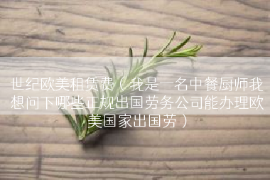 世纪欧美租赁费（我是一名中餐厨师我想问下哪些正规出国劳务公司能办理欧美国家出国劳）