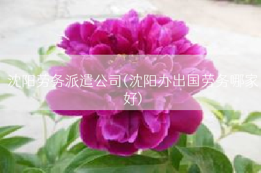 沈阳劳务派遣公司(沈阳办出国劳务哪家好)