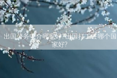 出国劳务中介哪家好?出国打工去哪个国家好?