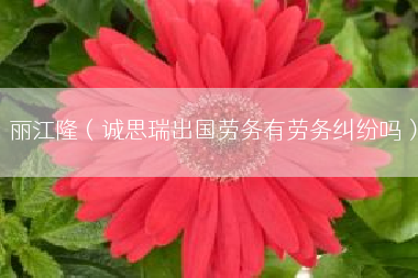 丽江隆（诚思瑞出国劳务有劳务纠纷吗）