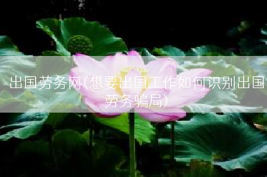 出国劳务网(想要出国工作如何识别出国劳务骗局)