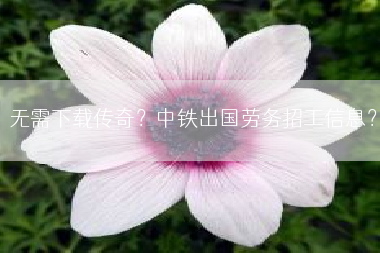 无需下载传奇？中铁出国劳务招工信息？