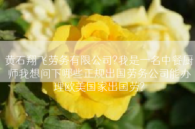 黄石翔飞劳务有限公司?我是一名中餐厨师我想问下哪些正规出国劳务公司能办理欧美国家出国劳?