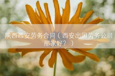 陕西西安劳务合同（西安出国劳务公司那家好？）